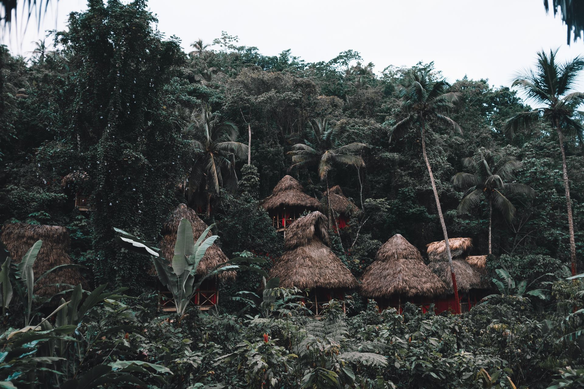 Homes among green hills on the Samaná Peninsula